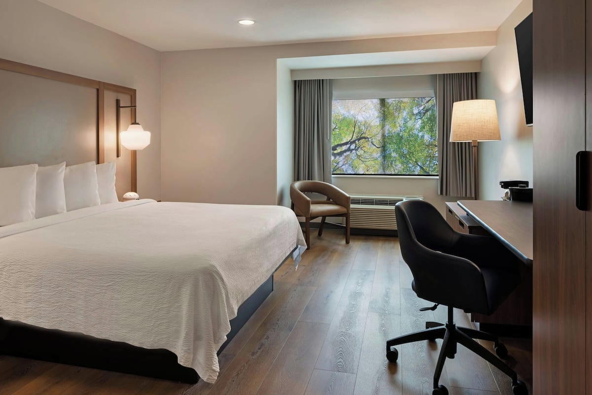 Room, 1 King Bed | Premium bedding, desk, laptop workspace, iron/ironing board