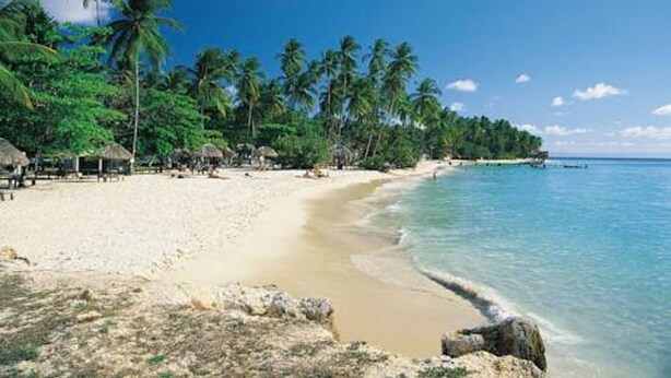 Une plage bordée de palmiers, avec une eau d’un bleu limpide et un rivage sablonneux.