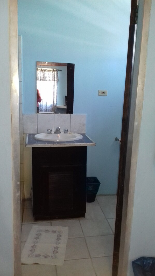 A bathroom with a sink, mirror, and a trash bin.