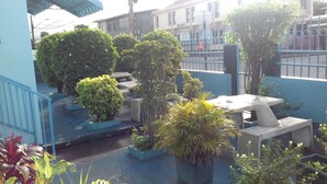 Un jardin sur le toit, agrémenté de diverses plantes en pot et d’un espace aménagé pour s’asseoir.