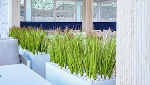 A modern interior with white planters containing green plants, a blue wall, and a white ceiling.