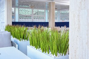 Serveert ontbijt en lunch, uitzicht op het zwembad