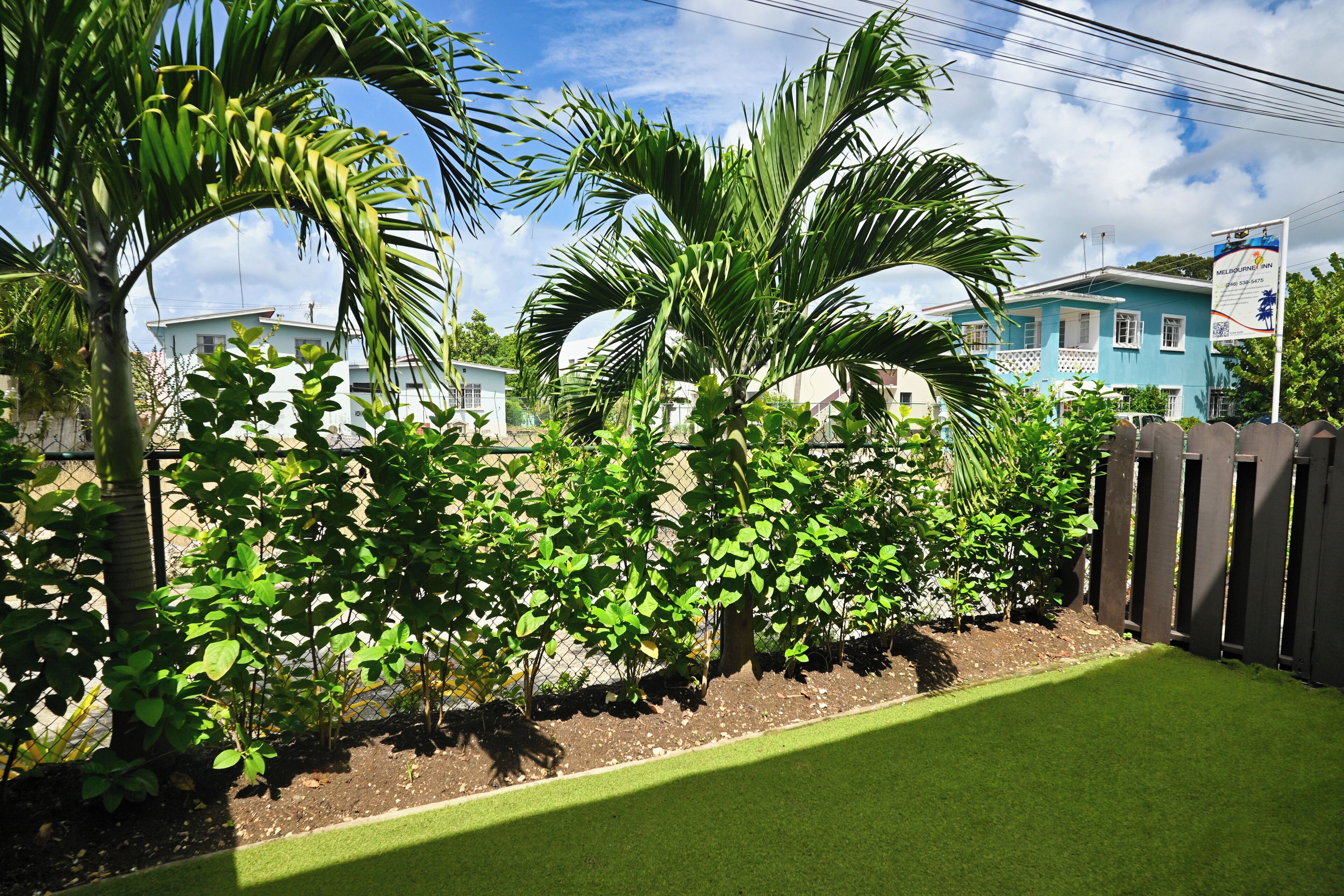 A residential area with a fenced yard, palm trees, and a blue house in the background.