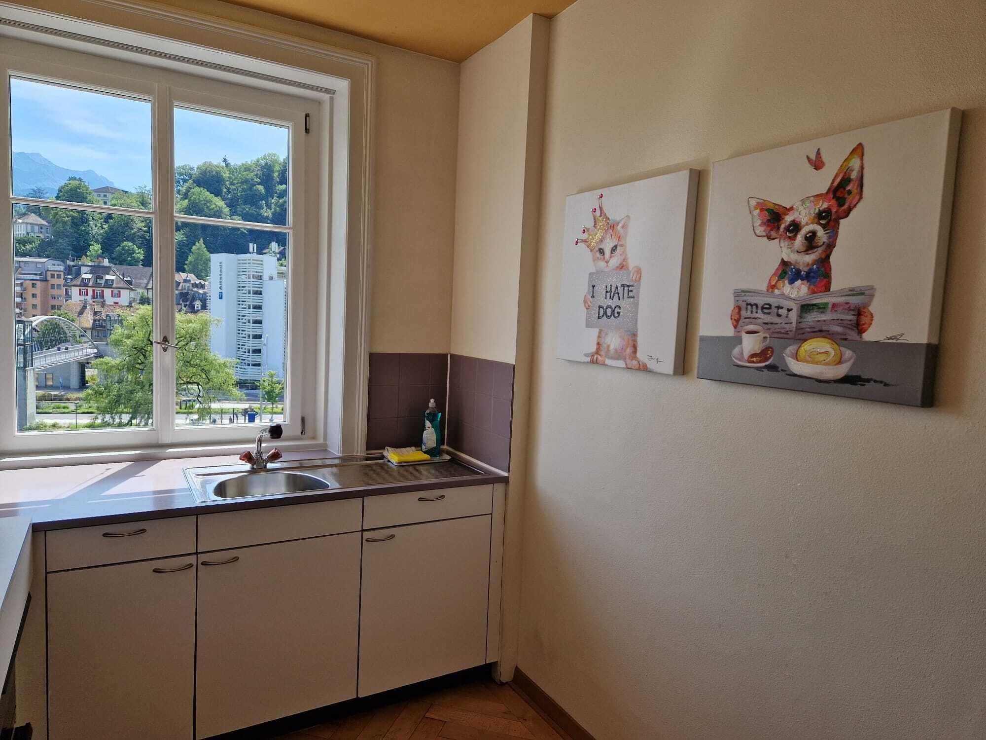 family room, balcony, river view | private kitchen