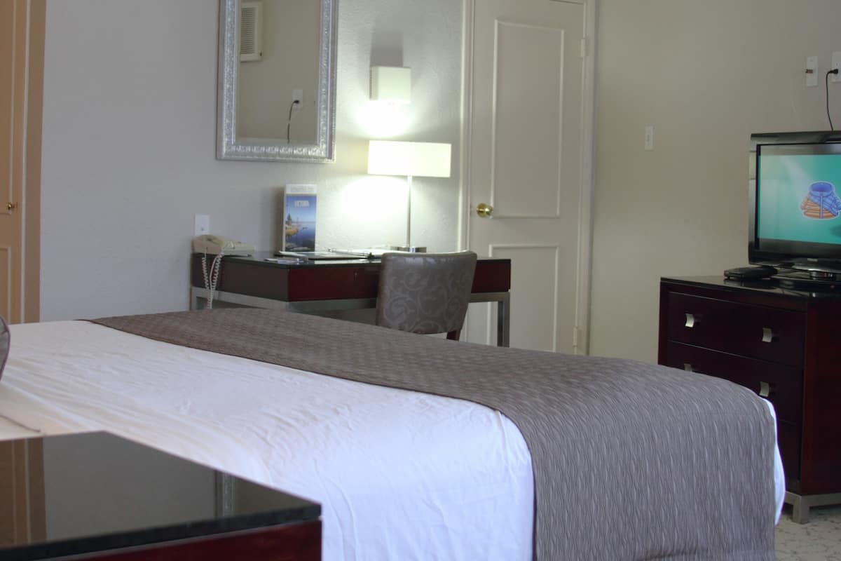 A hotel room with a bed, a desk, a chair, a television, and a mirror.