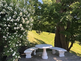 Terraza