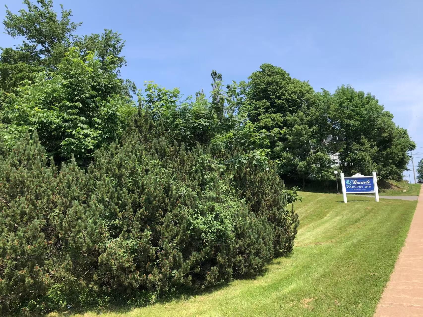 Un seto cuidado y un cartel para Braeside Country Inn.
