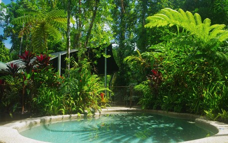 A pool surrounded by lush greenery and a metal fence.