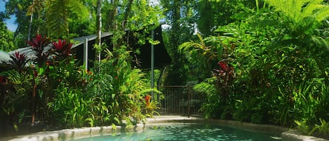 Una piscina al aire libre, sillones reclinables de piscina