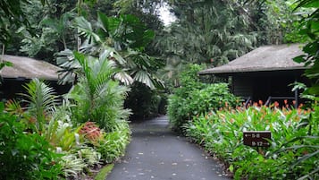 Jardin