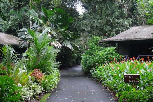 Jardín