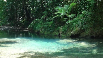 A clear, shallow water body surrounded by dense, green foliage.