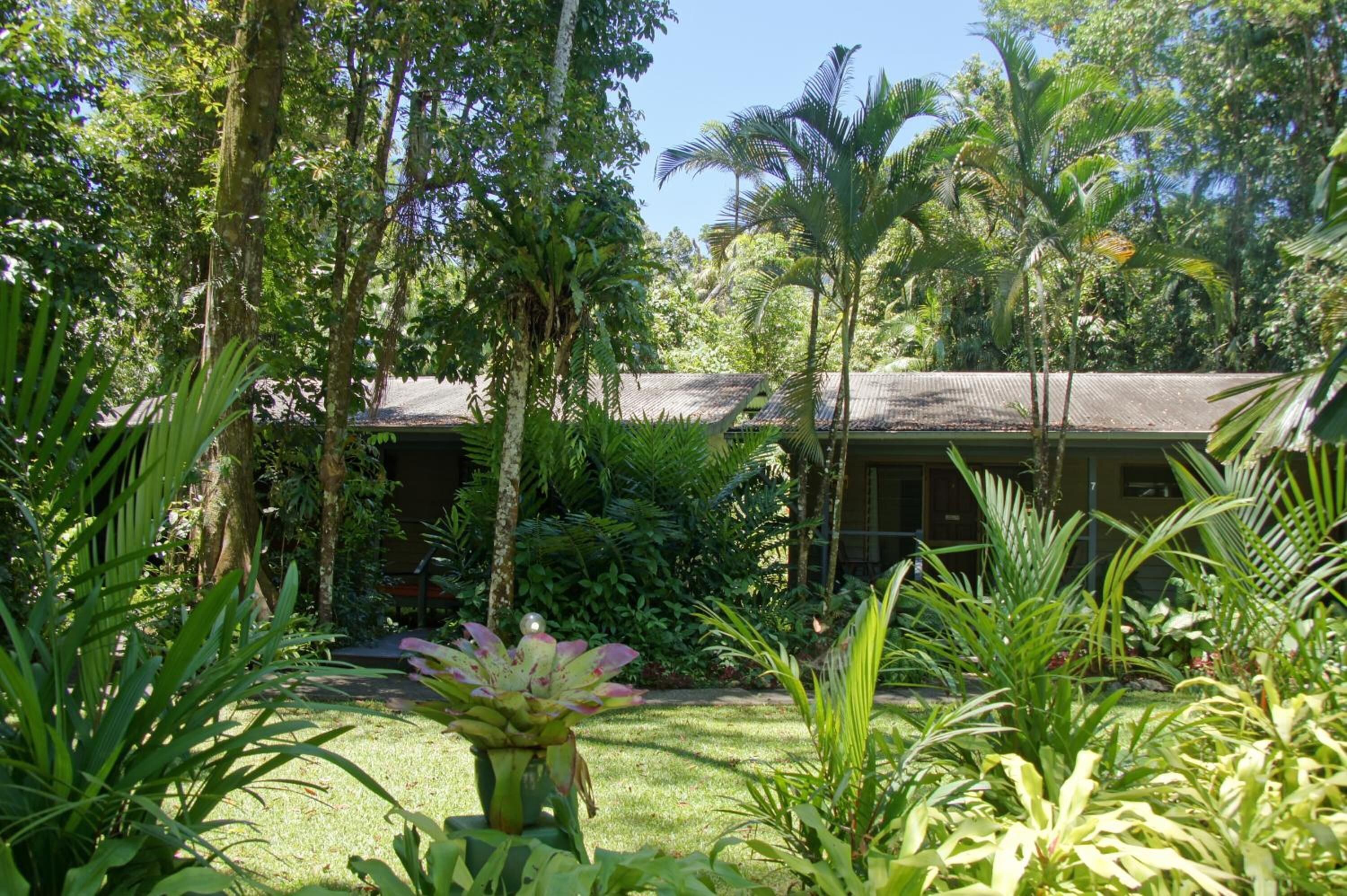 Un jardin luxuriant, où poussent différentes plantes tropicales, et un bâtiment doté d’un toit en pente.