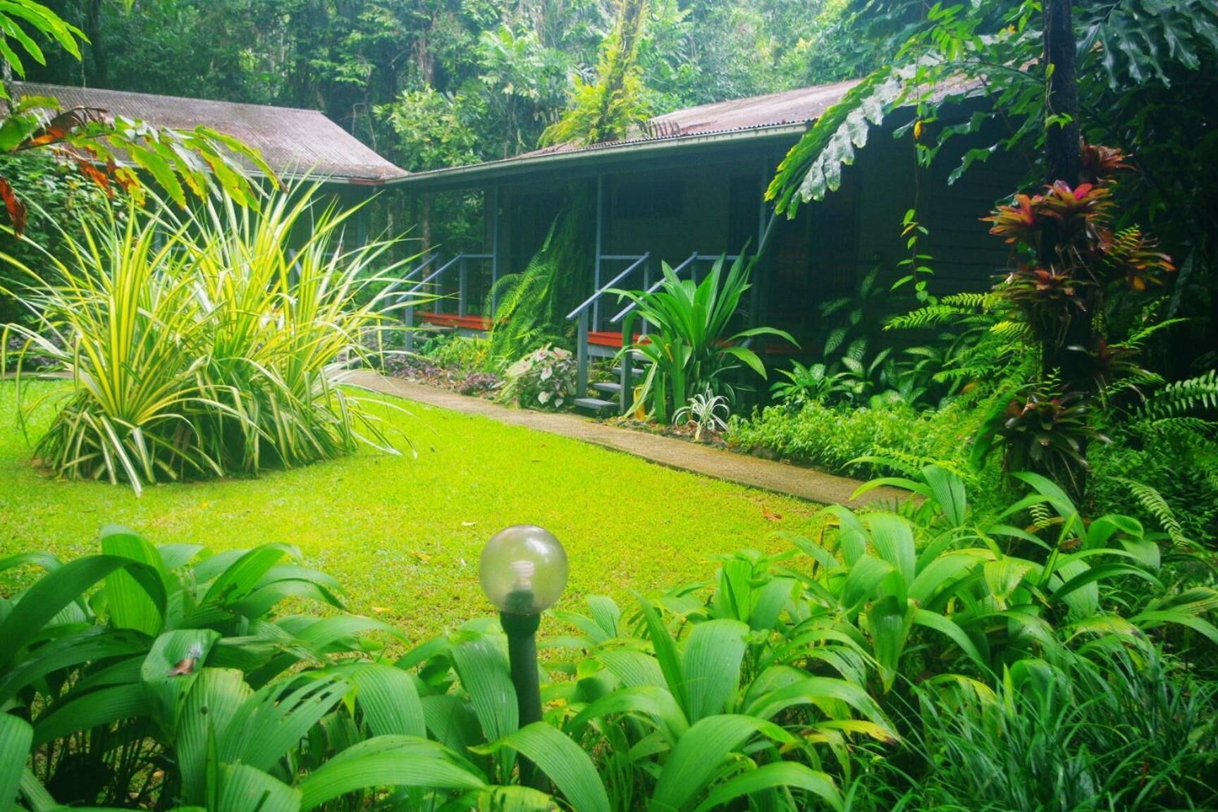 A lush garden with a pathway leading to a building with a thatched roof.