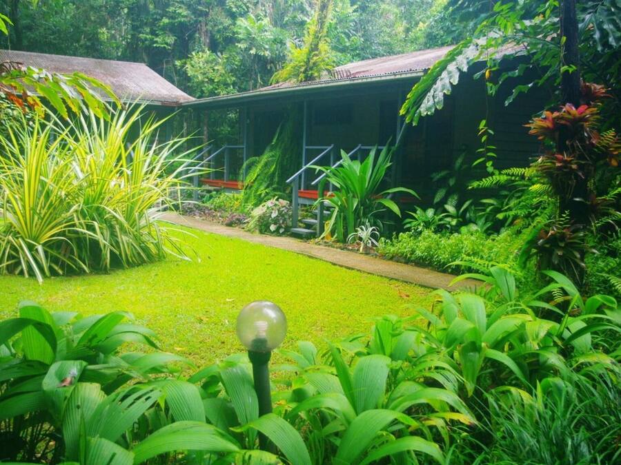 A lush garden with a pathway leading to a building with a thatched roof.
