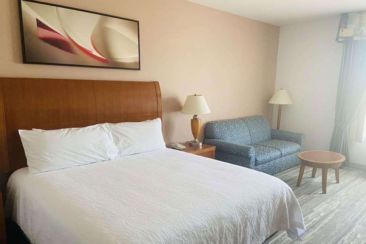 Iron/ironing board, free cribs/infant beds, rollaway beds, free WiFi