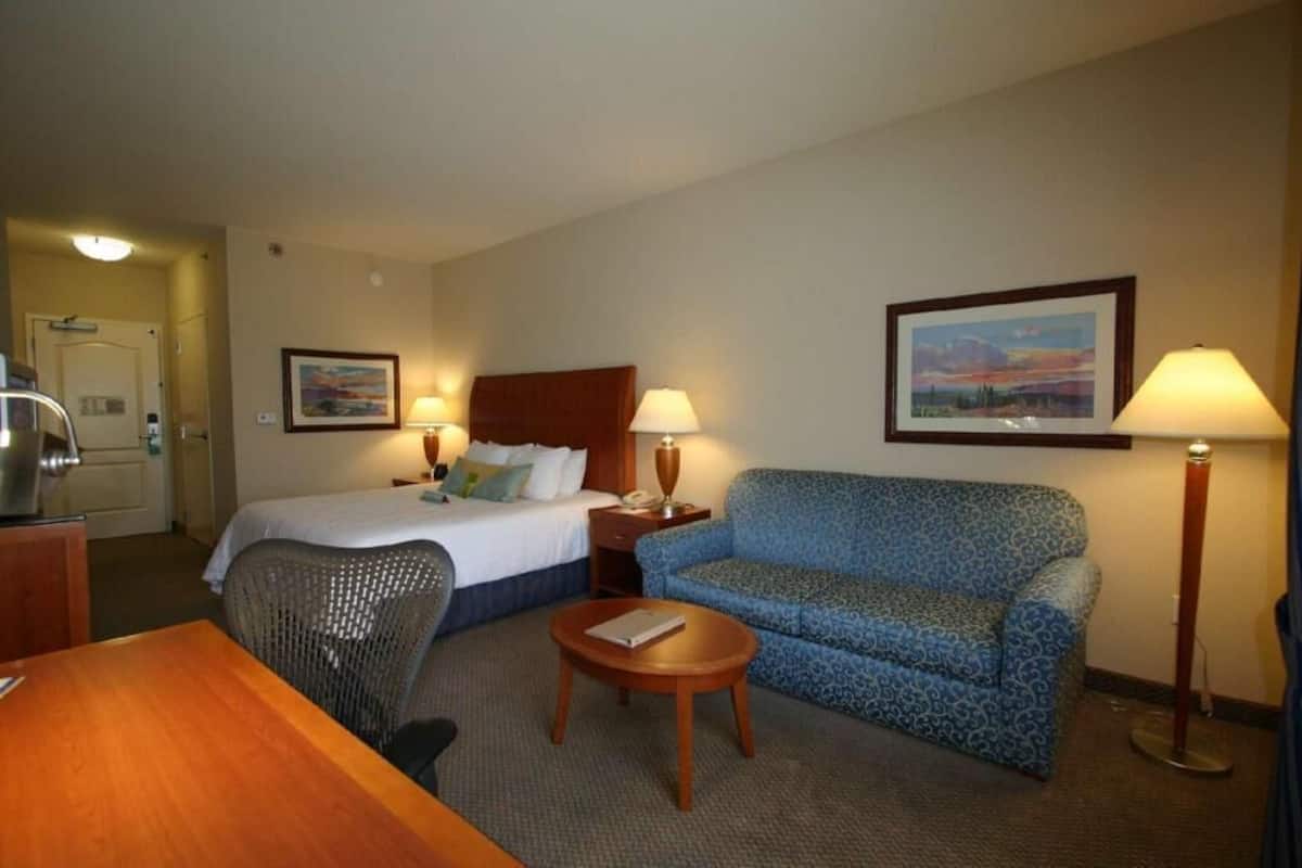 Iron/ironing board, free cribs/infant beds, rollaway beds, free WiFi