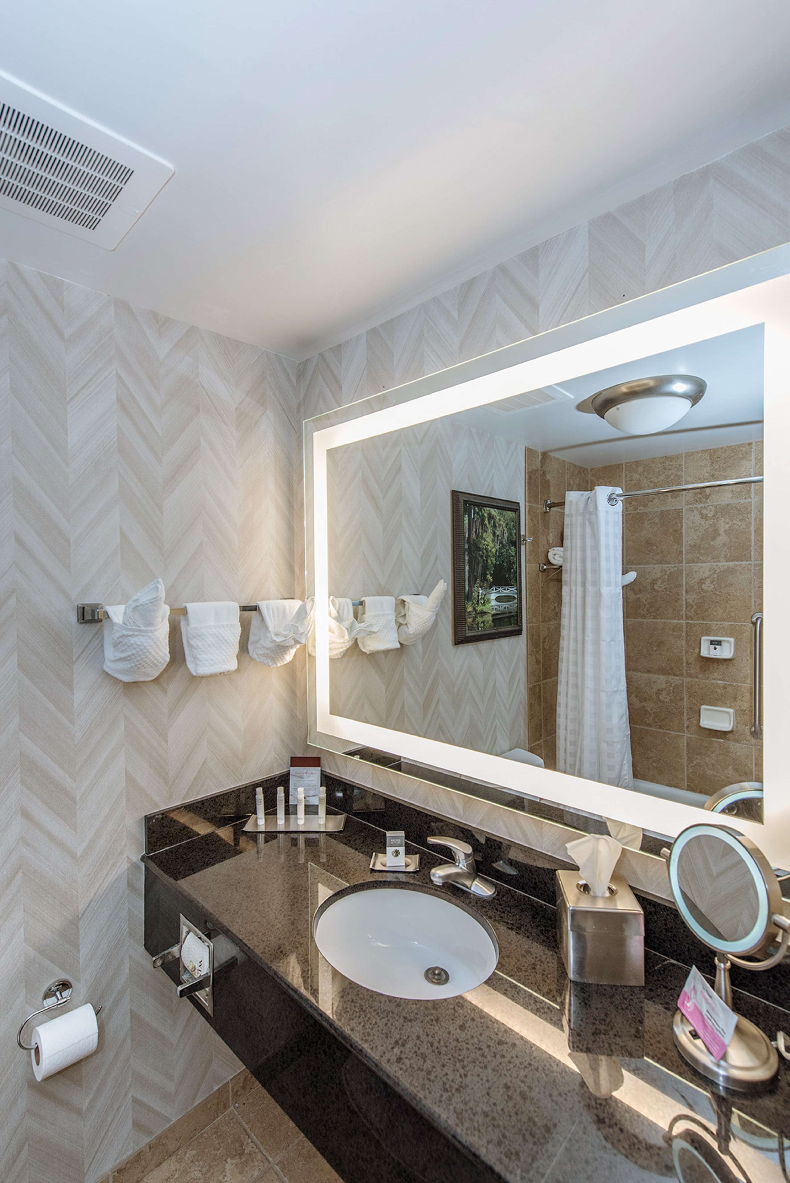 deluxe room, 1 king bed with sofa bed (larger) | bathroom | free toiletries, hair dryer, towels, soap