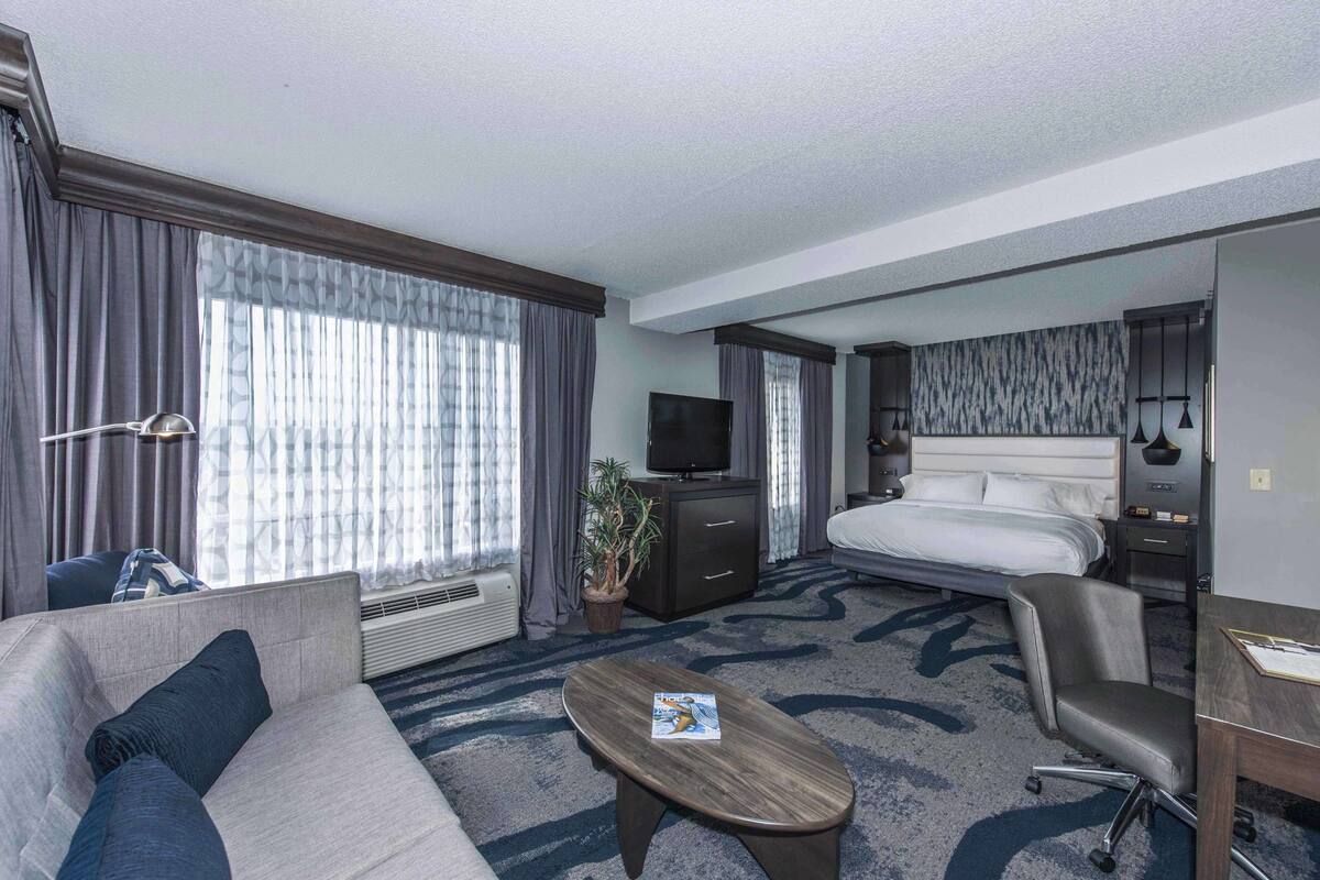 A hotel room with a bed, a sofa, a desk, a TV, and a potted plant.