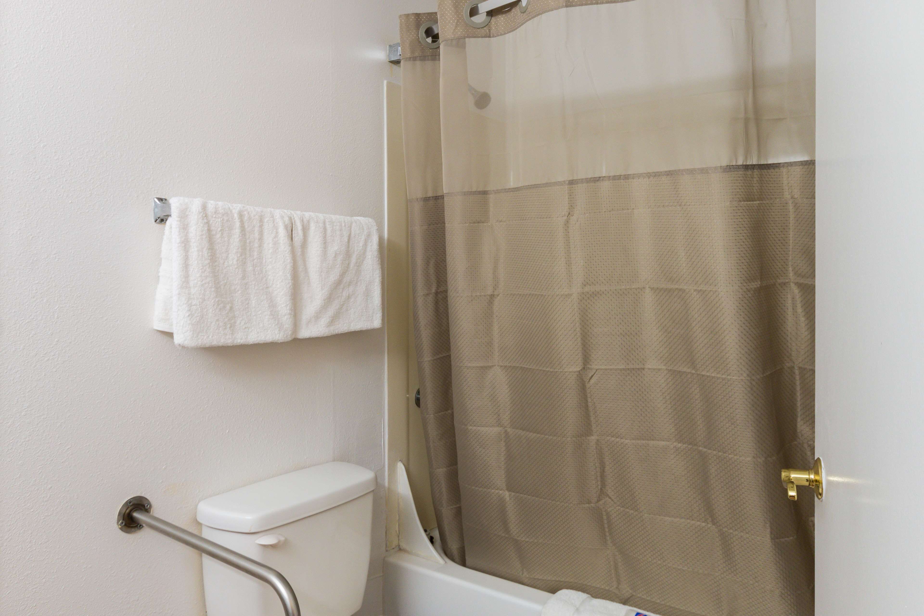 A bathroom with a shower, toilet, and grab bar.