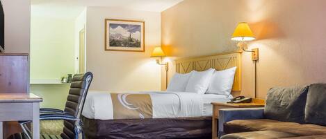 Una habitación de hotel con una cama, un escritorio, una silla, un sofá y una lámpara.
