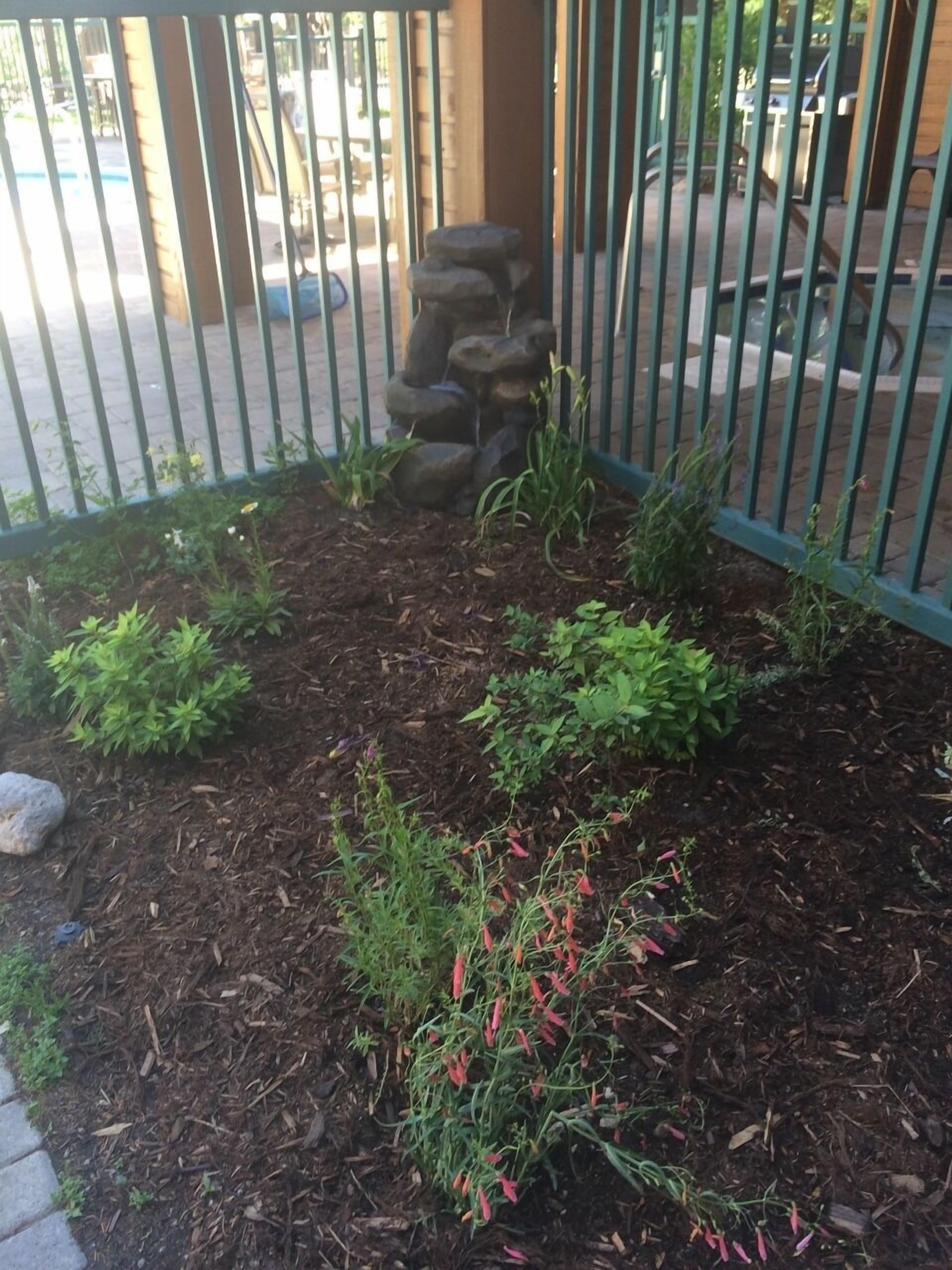 A landscaped garden area with various plants and a stone structure.