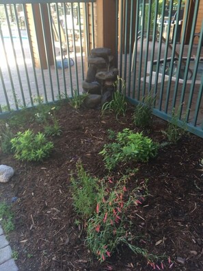 Garden - Mountainback at Mammoth (Mammoth Lakes)