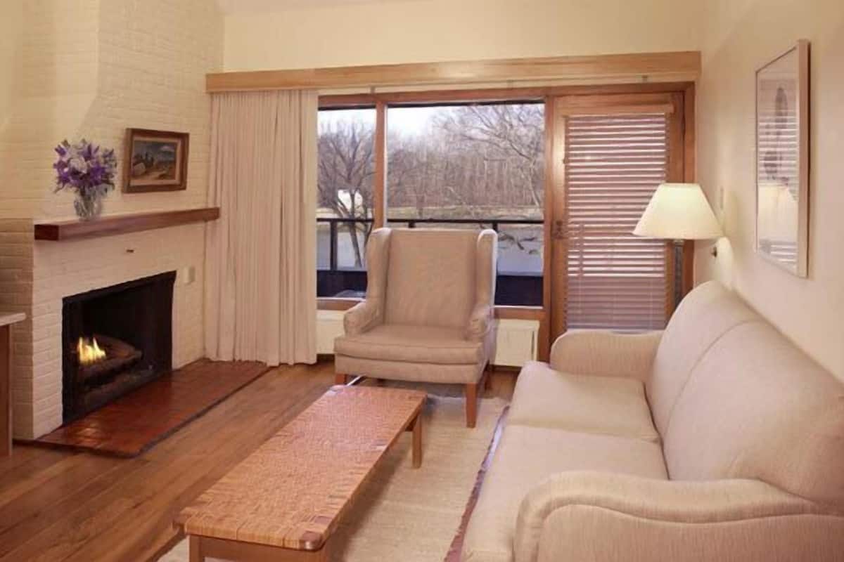 premium fireplace lakeview | living area | lcd tv