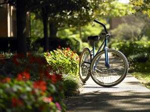 Overnattingsstedets uteområder