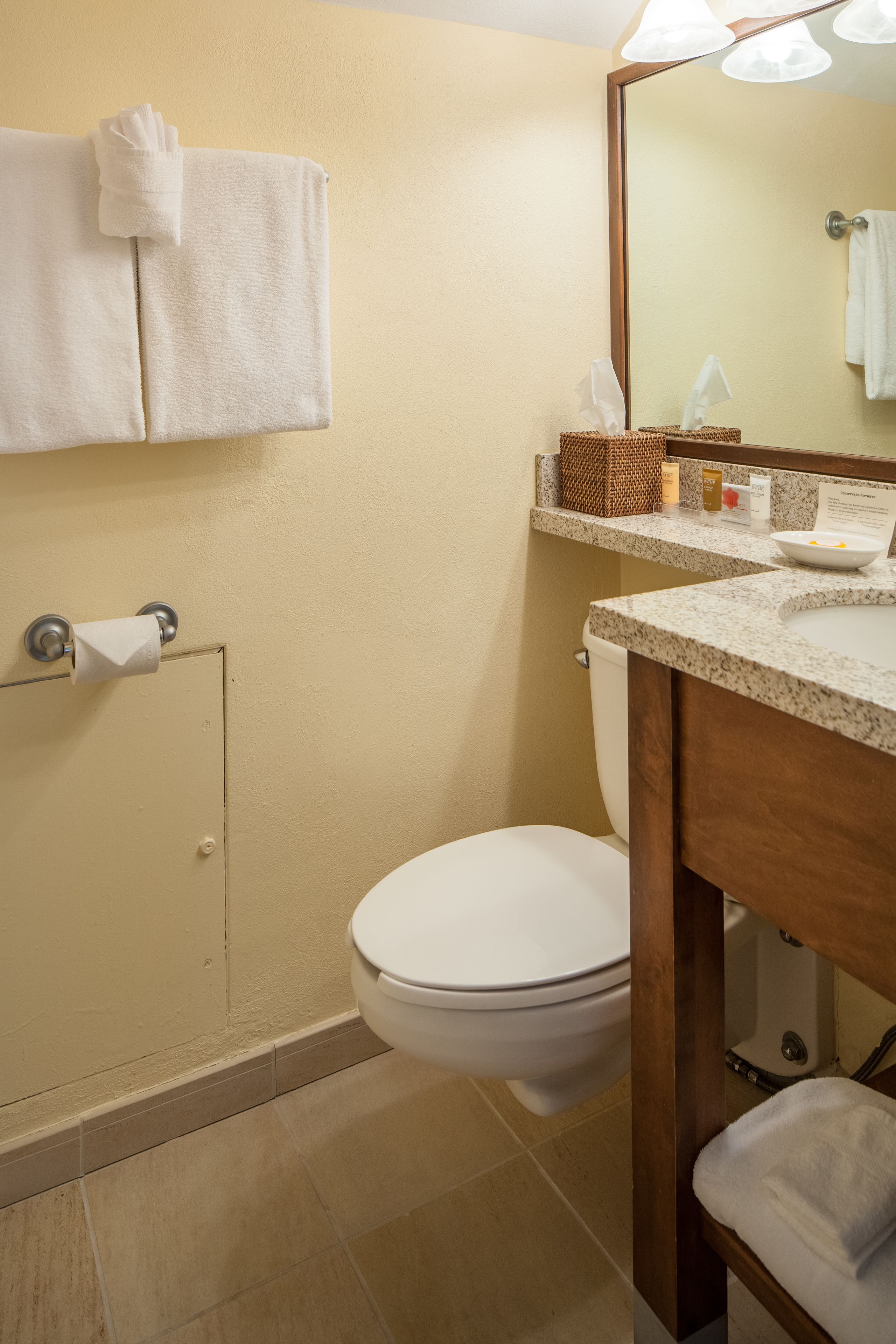 room | bathroom | shower, free toiletries, hair dryer, towels