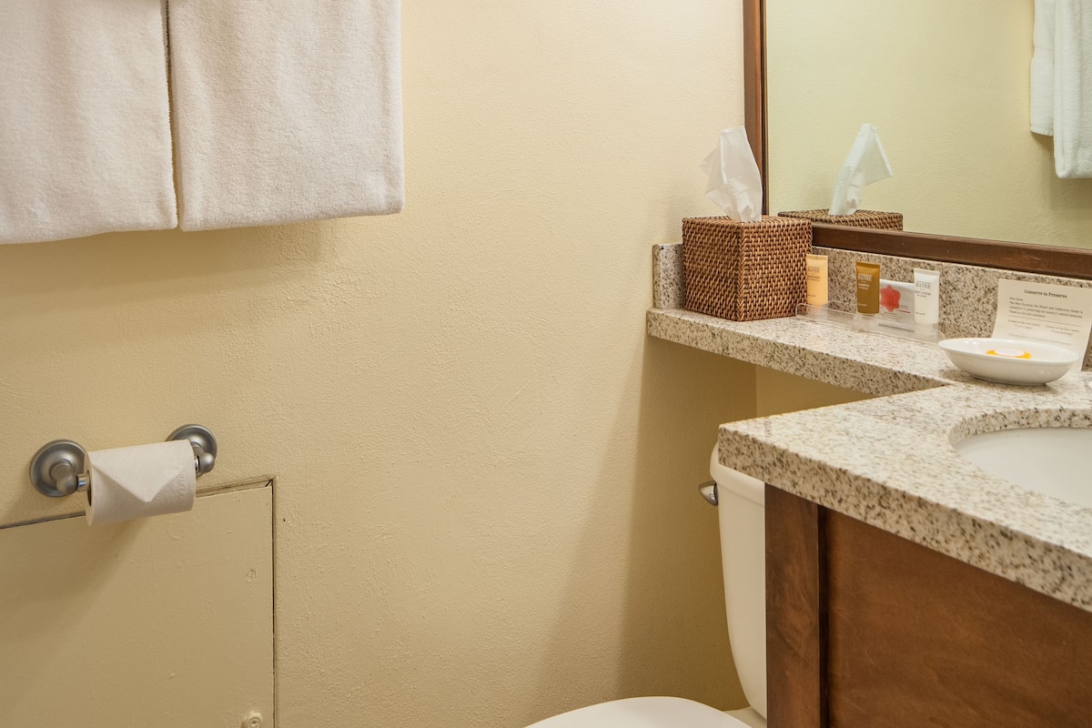 room | bathroom | shower, free toiletries, hair dryer, towels