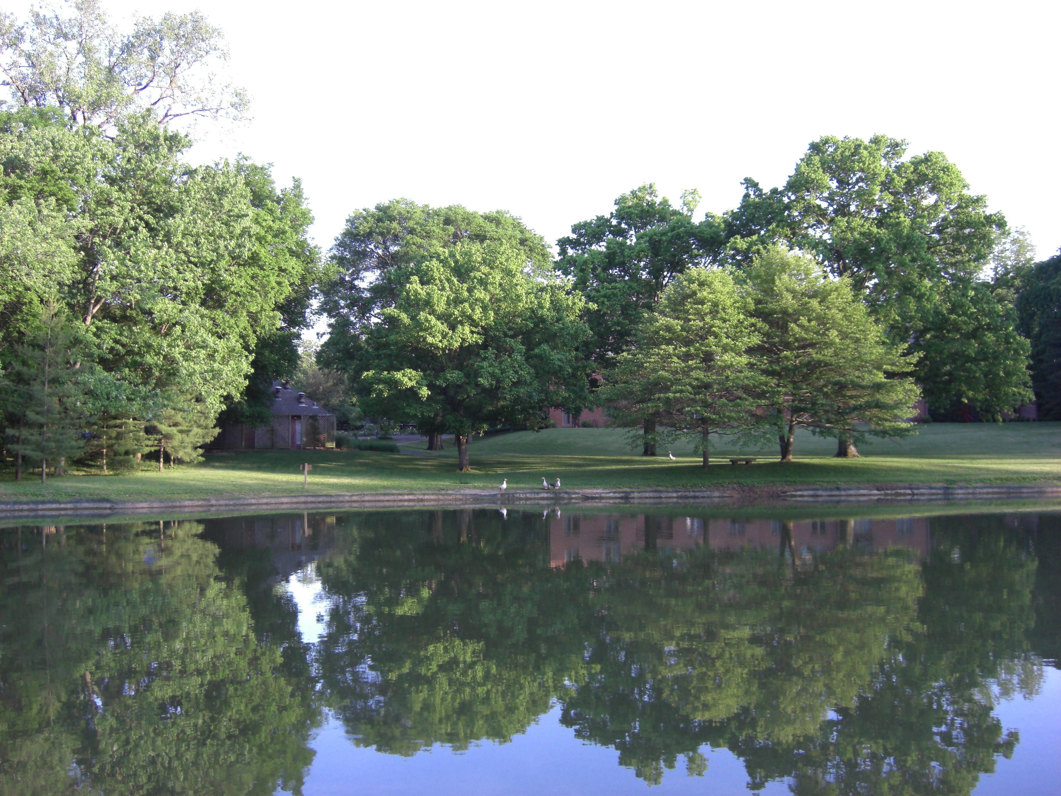 Ein friedlicher Park mit einem Teich, der Bäume und ein Gebäude im Hintergrund spiegelt.
