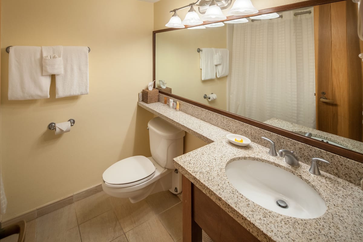 room | bathroom | shower, free toiletries, hair dryer, towels