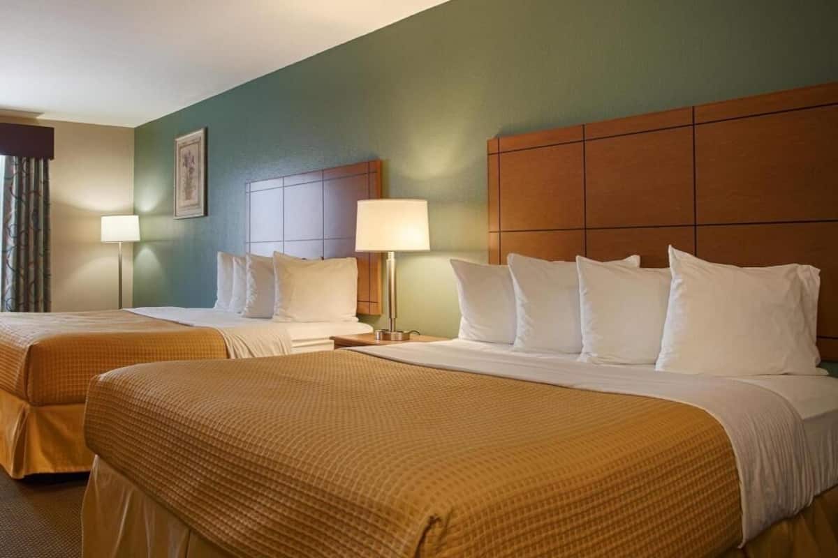 Cots/infant beds, rollaway beds, WiFi