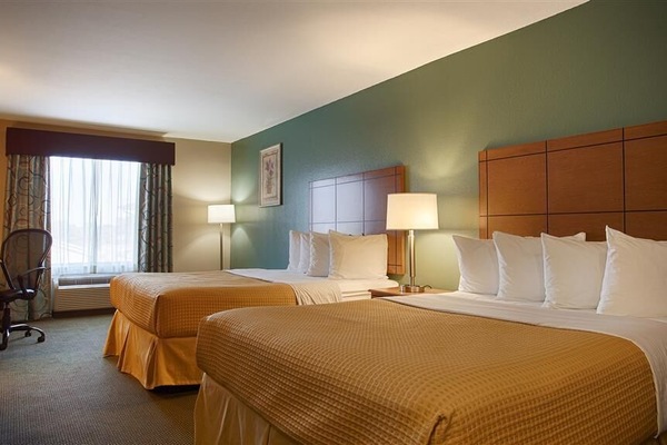 Cribs/infant beds, rollaway beds, WiFi