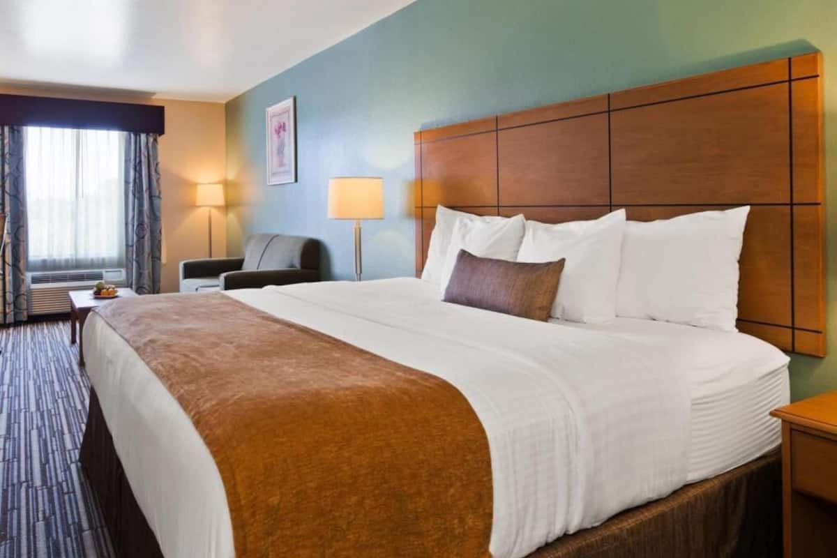 Cots/infant beds, rollaway beds, WiFi