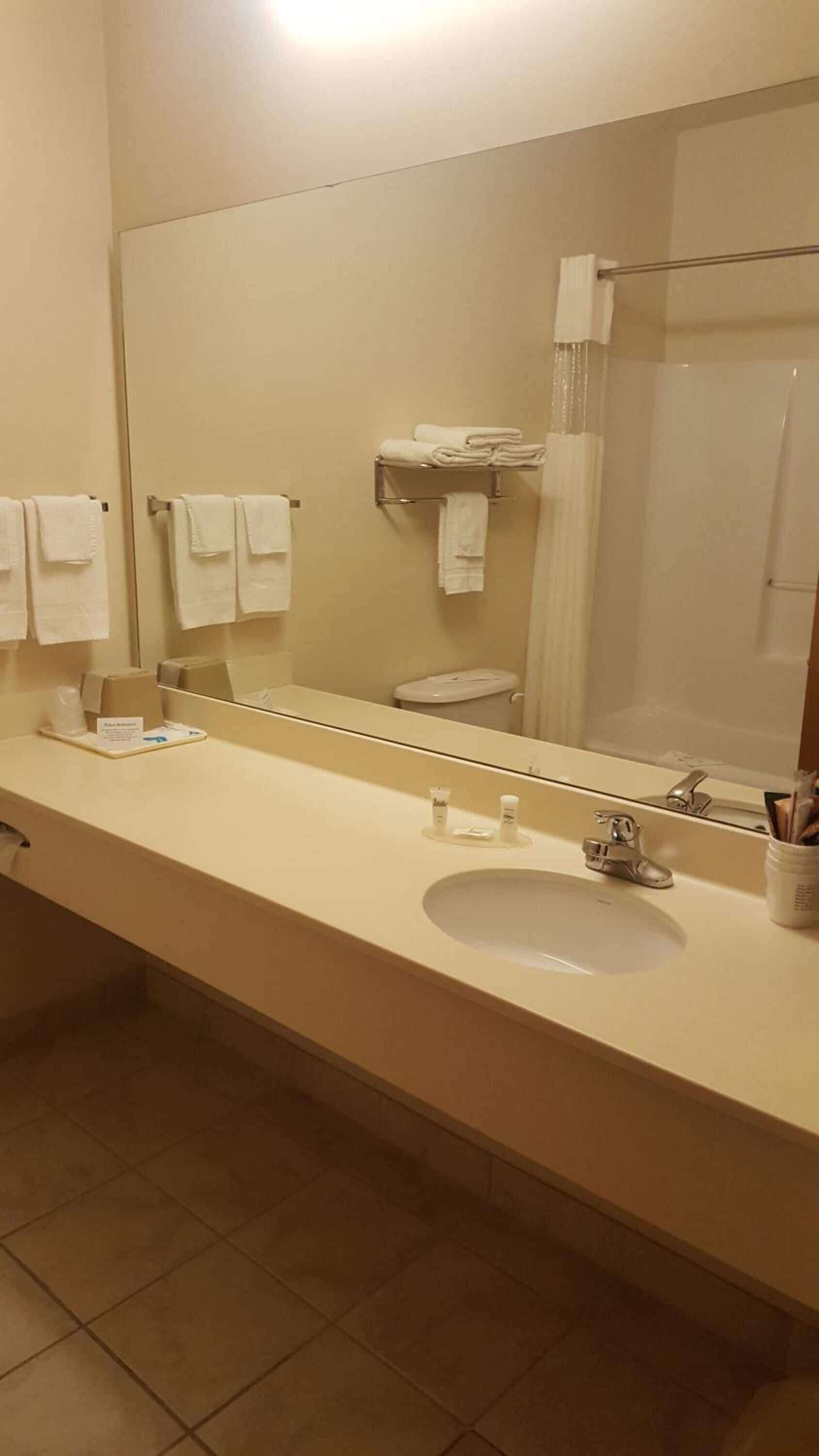 combined shower/bathtub, free toiletries, hair dryer, towels