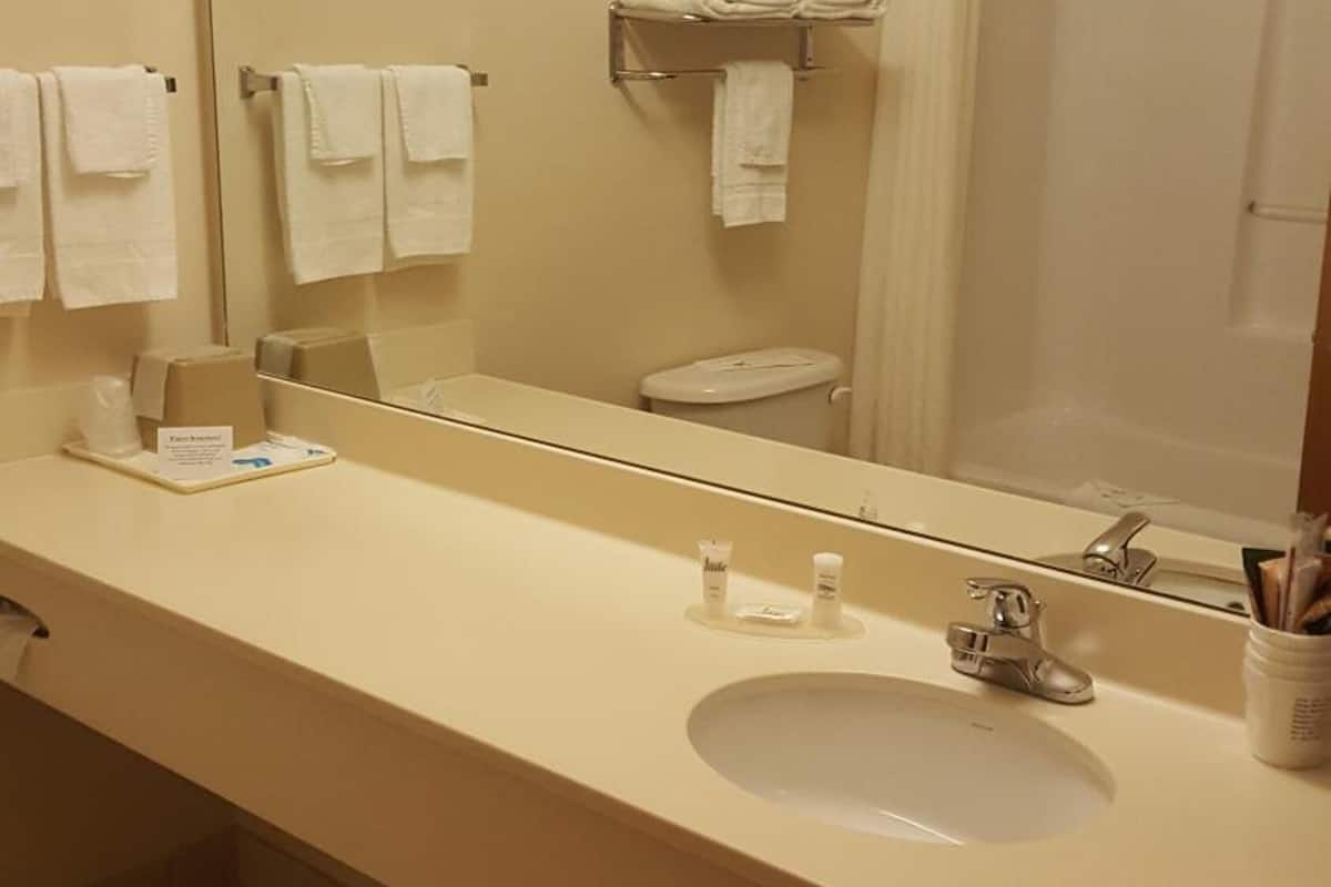 combined shower/bathtub, free toiletries, hair dryer, towels