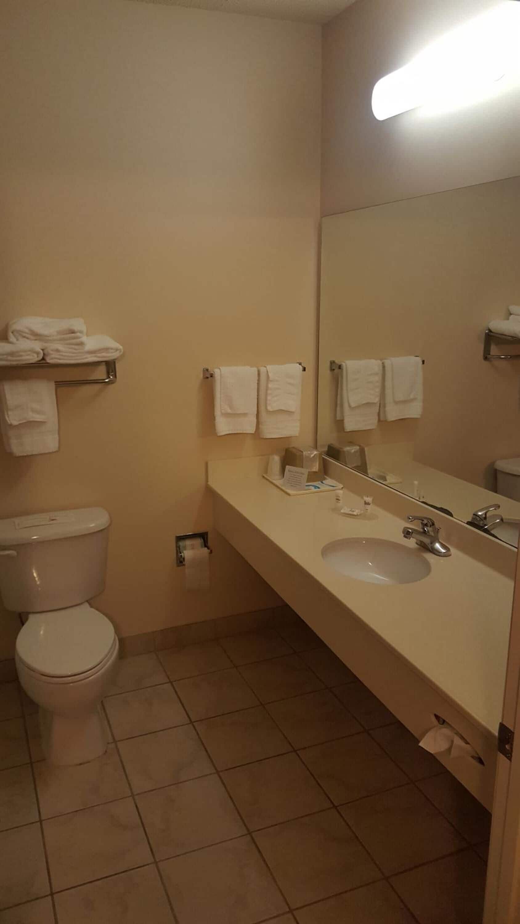 combined shower/bathtub, free toiletries, hair dryer, towels