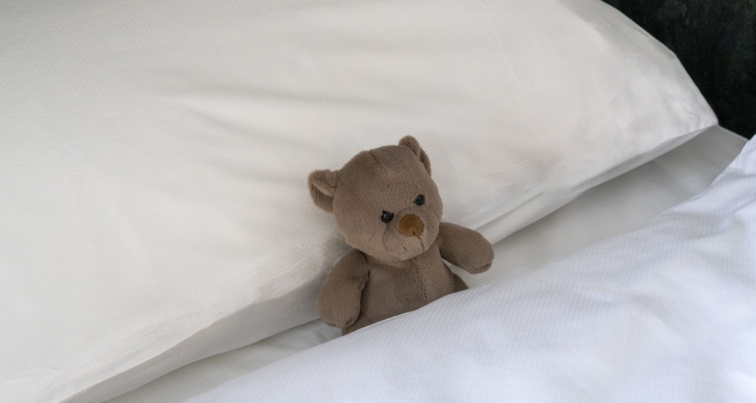 Un oso de peluche sobre una cama con sábanas y almohadas blancas.