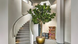 Una escalera con un gran árbol en maceta, una estantería con libros y adornos, y el número '108' en la pared.