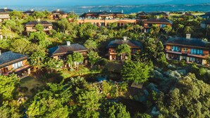 A residential area with multiple houses surrounded by lush greenery and a clear view of the ocean in the background.