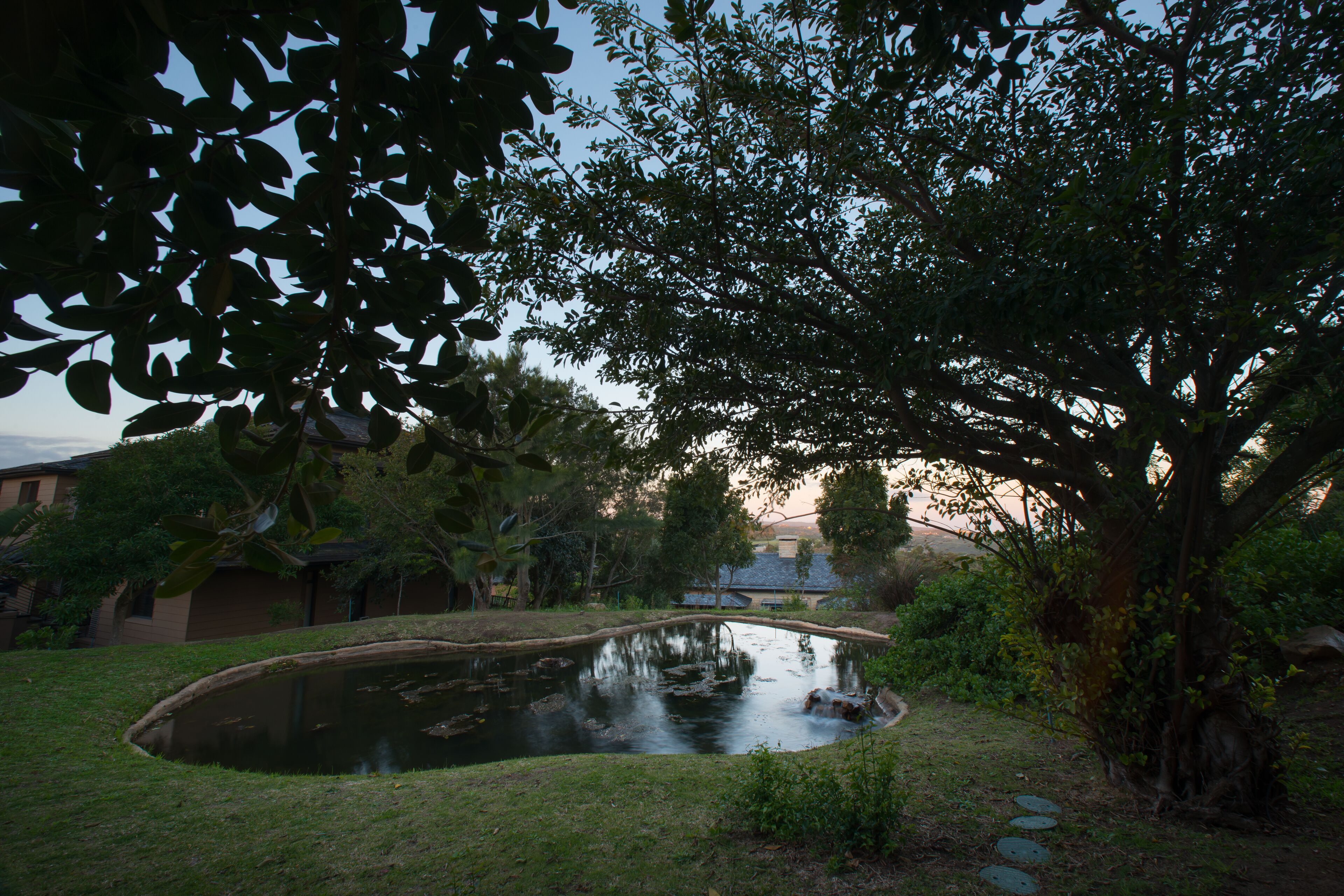 nature one bedroom suite | view from room