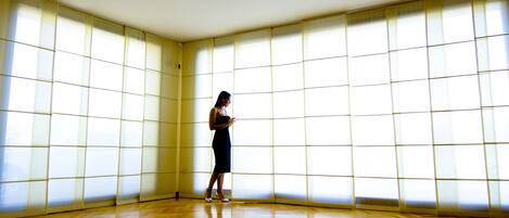 A room with a wooden floor and large windows with a grid pattern.