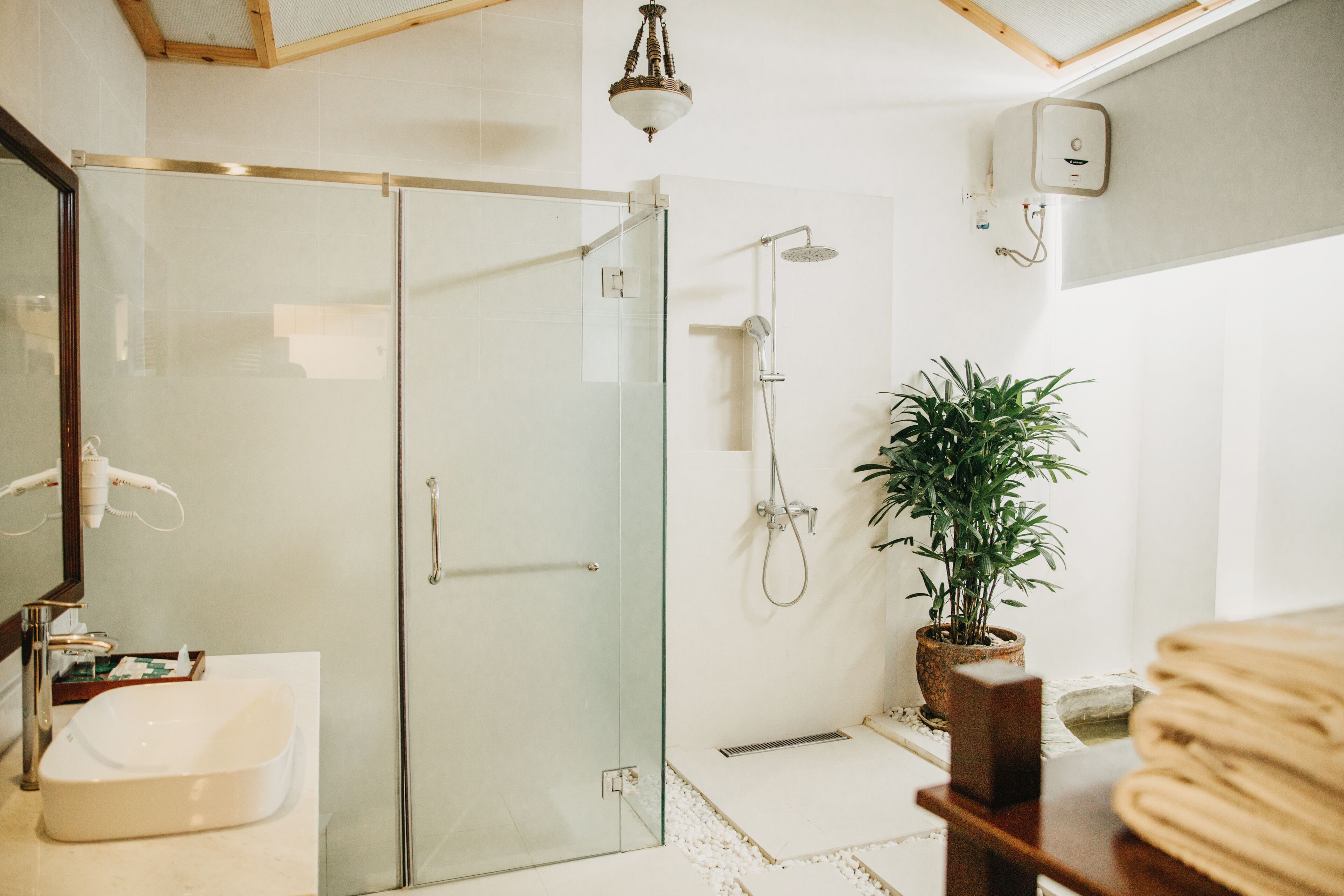 A modern bathroom with a glass-enclosed shower, a white sink, and a potted plant.