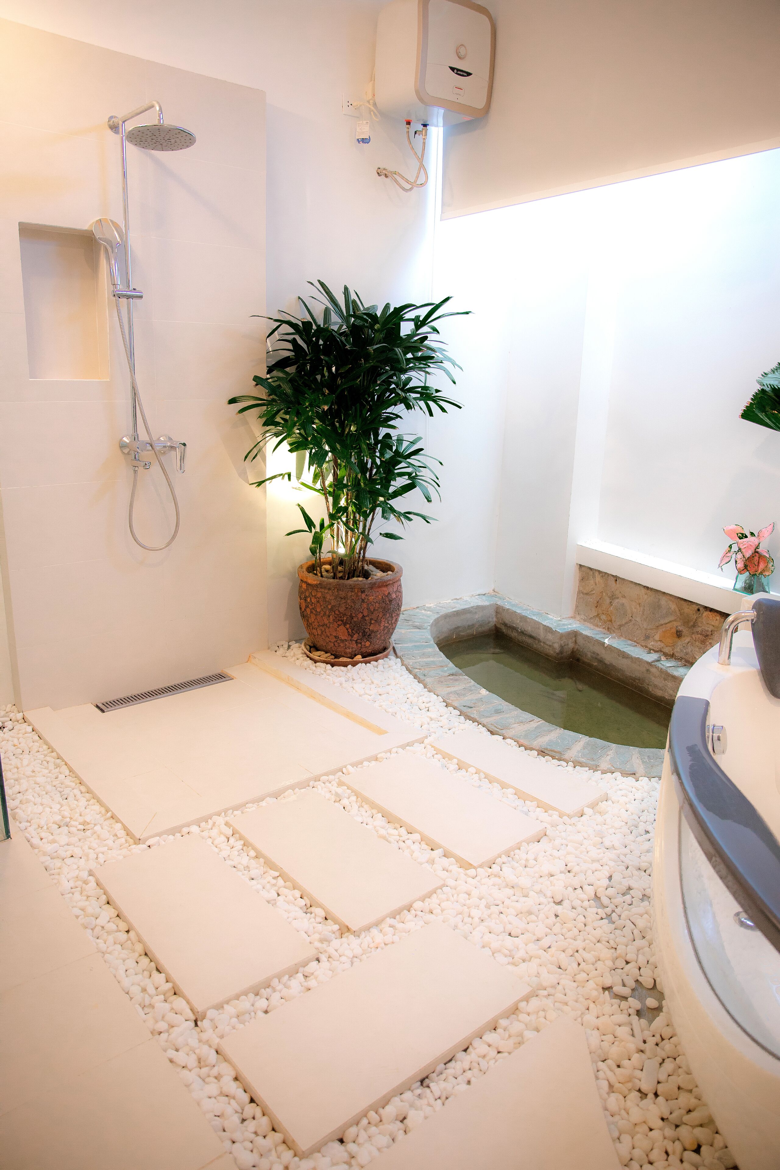 A bathroom with a shower, a small pool, and a potted plant.