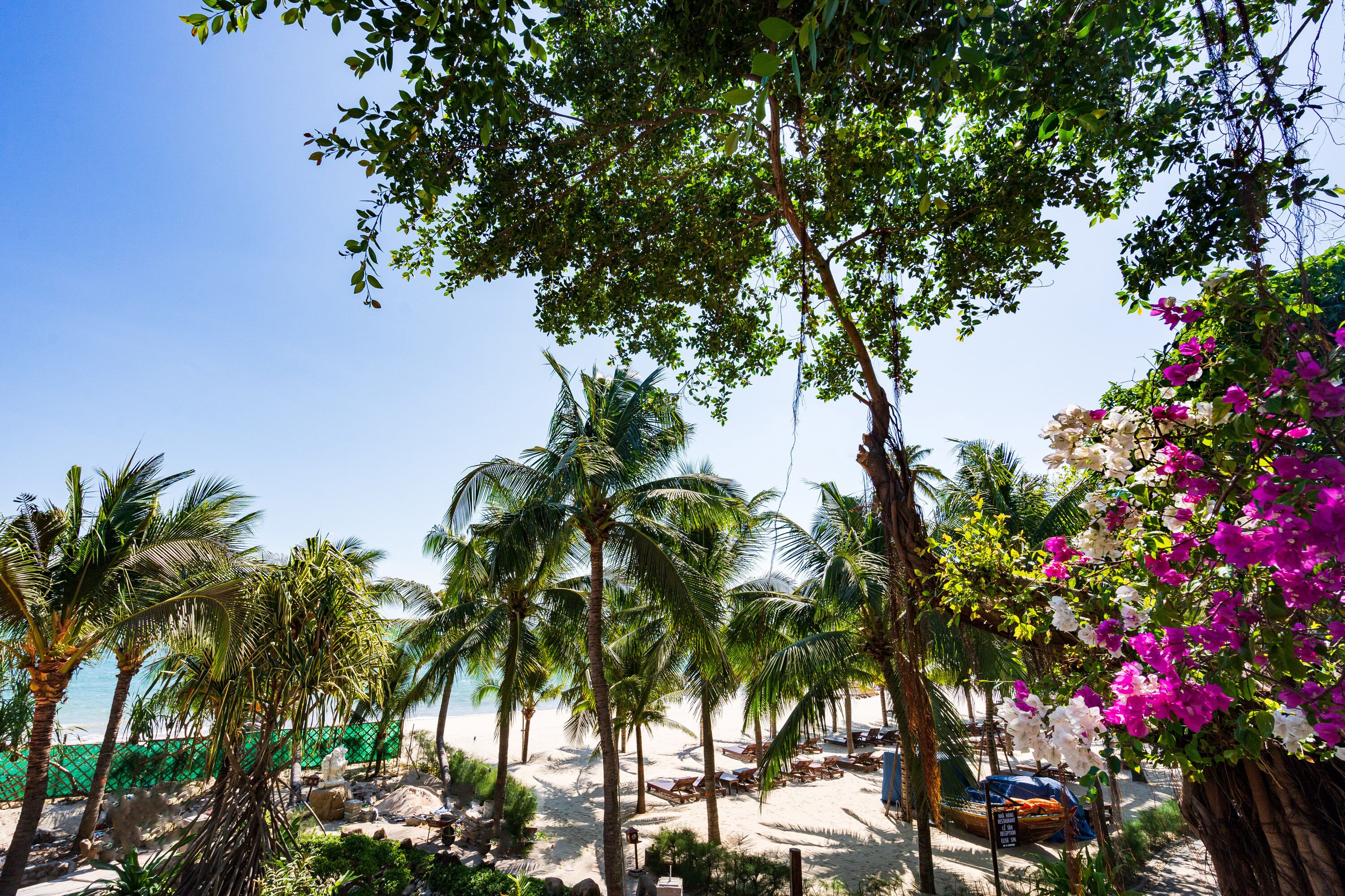 A beach with palm trees, a sandy area, and a few lounge chairs.