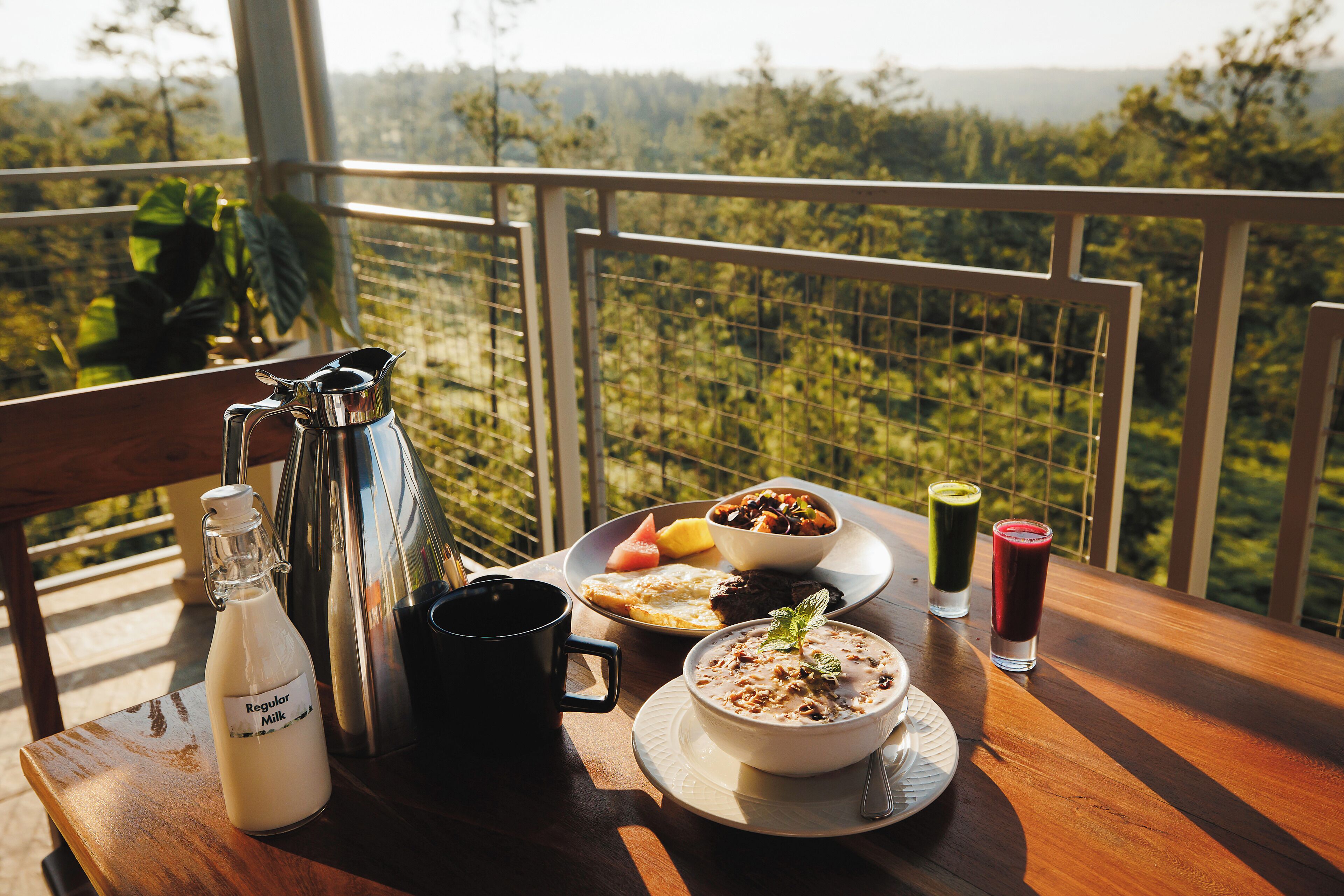 A table with a bottle of milk, a coffee pot, a bowl of oatmeal, a plate with toast and fruit, and two glasses of juice on a balcony overlooking a forested landscape.
