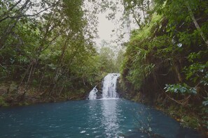 A natural waterfall in a forested area with dense foliage on both sides.