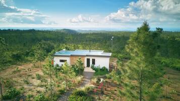 Wilderness Terra | View from room
